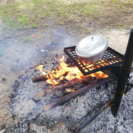 Hotel Hirvemae Camp Värska Zewnętrze zdjęcie