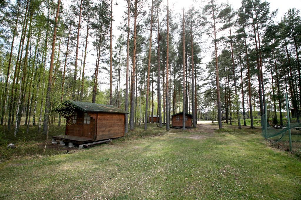 Hotel Hirvemae Camp Värska Pokój zdjęcie