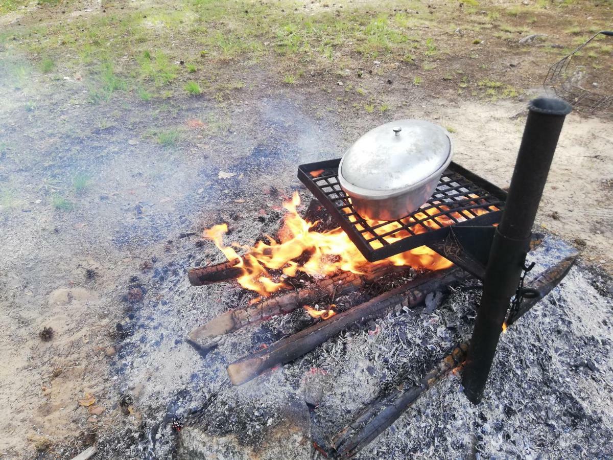 Hotel Hirvemae Camp Värska Zewnętrze zdjęcie